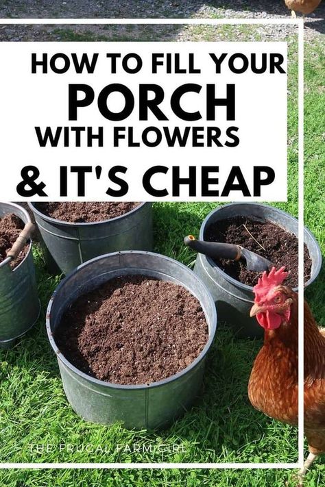 Flowers In Yard Ideas, Flowers In Front Of Porch, Flowers On Porch Ideas, Flowers Around Porch, Spring Flowers For Front Porch, Best Flowers For Containers, Diy Flower Garden Ideas On A Budget, Large Flower Pots Outdoor Porch, Frugal Gardening Ideas Diy