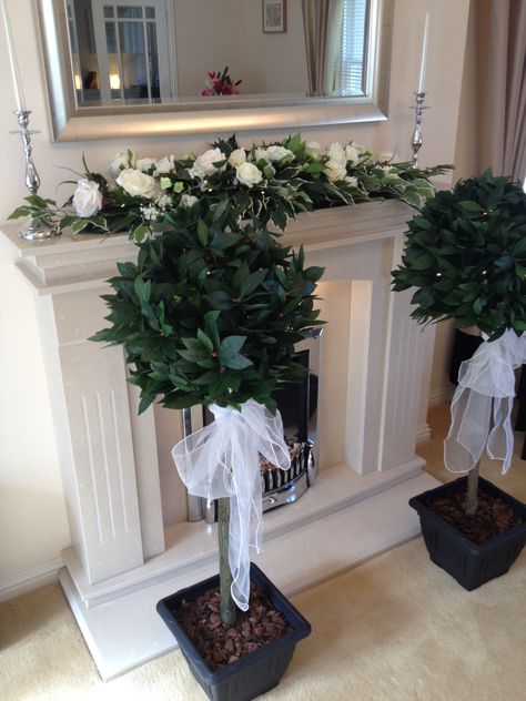 Our lovely bay trees with their LED lights, black pots and organza sashes Archway Wedding, Manzanita Tree Centerpieces, Bay Trees, Lanterns Wedding, Manzanita Tree, Wedding Archway, Bay Tree, Tree Centerpieces, Hanging Plants Indoor