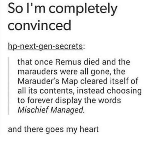 I like it, but I like the idea of Teddy getting the map when he starts Hogwarts better Fantasic Beasts, Harry Potter Memes Hilarious, Harry Potter Feels, Yer A Wizard Harry, Harry Potter Puns, Marauders Map, Potter Facts, Harry Potter Headcannons, Cărți Harry Potter