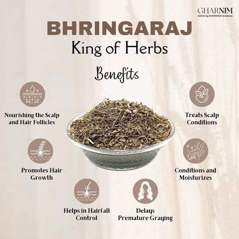 Bhringraj (Eclipta alba), often referred to as the "King of Herbs" for hair care, is highly valued in Ayurveda for its numerous benefits for hair health. ✨️ Benefits of Bhringraj for Hair ✨️ 🌿 Promotes Hair Growth: Bhringraj is renowned for its ability to stimulate hair growth. It increases blood circulation to the scalp, which helps in nourishing the hair follicles and promoting new hair growth. 🌿 Prevents Hair Loss: Regular use of Bhringraj can help reduce hair fall. Its nourishing pro... Bhringraj Benefits, Ayurveda Hair Care, Herbs Magic, Hormone Nutrition, Herbs For Hair Growth, Hair Growth Oils, Medicine Recipes, Herbal Medicine Recipes, Herbs For Hair