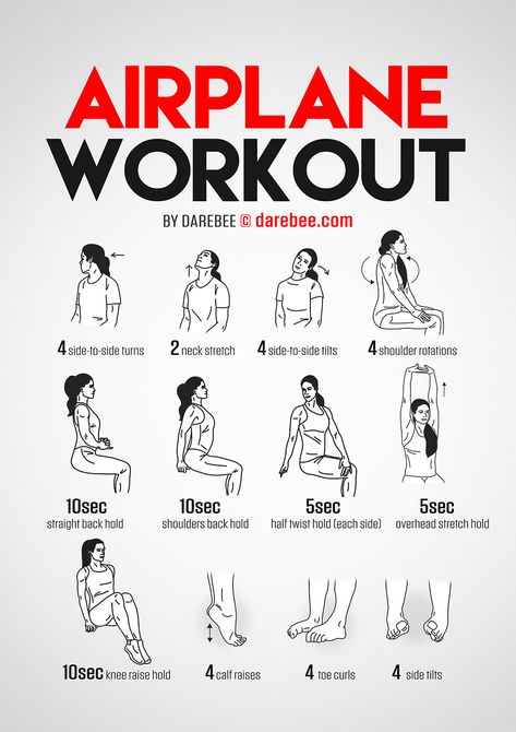 Airplane Workout Airplane Workout, Sitting Exercises, Athletic Goals, Light Cardio, Targeted Exercises, Adult Hobbies, Office Exercise, Chair Exercises, Stretching Exercises