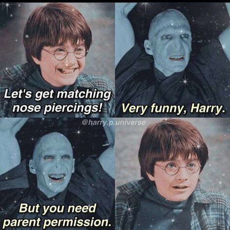 Harry Potter Funny Pictures, The Golden Snitch, Citate Harry Potter, Glume Harry Potter, Funny Harry Potter Jokes, Harry Potter Memes Hilarious, Harry Potter Feels, Harry Potter Puns, Images Harry Potter