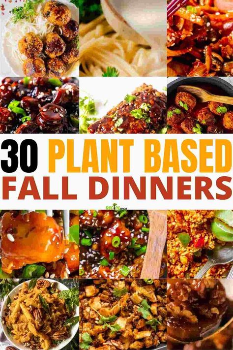 30 Plant Based Fall Weeknight Dinners Veggie Packed Fall Dinners, Fall Comfort Food Vegetarian, Plant Based Fall Meals, Plant Based Fall Dinner Recipes, Fall Veggie Meals, Fall Dinner Vegetarian Recipes, Crockpot Recipes Plant Based, Cozy Fall Meals Vegetarian, Vegan Dinner Fall Recipes