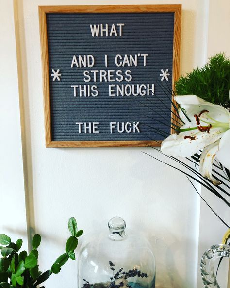 House Letter Board Quotes, Toy Story Letter Board, Letterboard Quotes Funny Short, Funny Letter Boards For Home, Witty Letter Board Quotes, Wall Letter Board Quotes, Autumn Message Board, Letter Board Signs Ideas, Country Letter Board Quotes