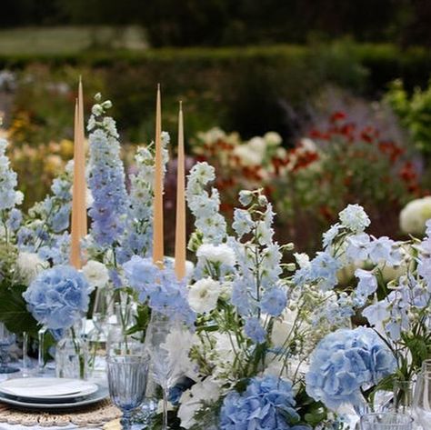 Urquid Linen | Our stunning French Toile Table Linen in Lt.Blue 🦋She’s a beauty. She’s a grace🦋 . . . .  #urquidlinen #Fabric #Linen #wedding ... | Instagram Blue Toile Tablecloth, Blue French Wedding, French Toile Wedding, Blue Toile Wedding, Toile Wedding, Blue Hydrangea Bouquet, Wedding December, French Blue Wedding, Dinnerware Plates