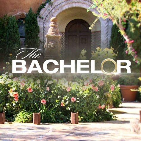 Your Ultimate 'The Bachelor' Dictionary, Because This Show Has Its Own Amazing Language The Bachelorette Tv Show, The Bachelor Tv Show, Top Tv Shows, Fantasy League, Bachelor Nation, Top Tv, The Bachelor, Contemporary Romances, Best Tv Shows