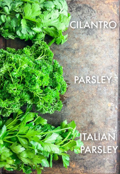 Photo of Cilantro, Parsley and Italian Parsley Flat Iron Steak Recipes, Cooking With Herbs, Types Of Basil, Cilantro Parsley, Herbs Growing, Easy Herbs To Grow, Caprese Recipes, Herb Life, Italian Parsley