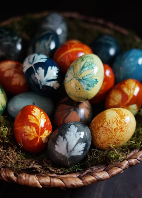 Botanical Eggs and a Spring Equinox Ritual For New Growth Spring Equinox Activities For Kids, Ostara Party, Ostara 2024, Spring Equinox Party, Spring Equinox Celebration, Spring Equinox Activities, Spring Equinox Witchcraft, Ostara Egg Design, Celebrate Spring Equinox Kids