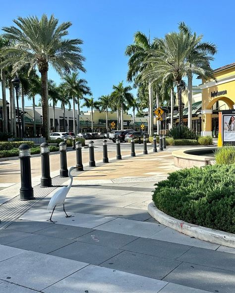 Did you know that Sawgrass Mills is: - the 11th largest mall in the United States - the largest single-story outlet mall in the U.S. - the largest shopping mall in Broward County (in Florida) - the second largest mall in Florida and the Miami metropolitan area after the Aventura Mall, and - the third largest shopping mall in the southeastern United States. Located in the city of Sunrise, this shopping mall is 2,370,610 square feet and has over 21 million annual visitors, making it one of the ... Sawgrass Mills Mall, Aventura Mall, Fake Photos, Family Friendly Resorts, Outlet Mall, Florida Resorts, Vacation Tops, Kid Friendly Activities, Broward County