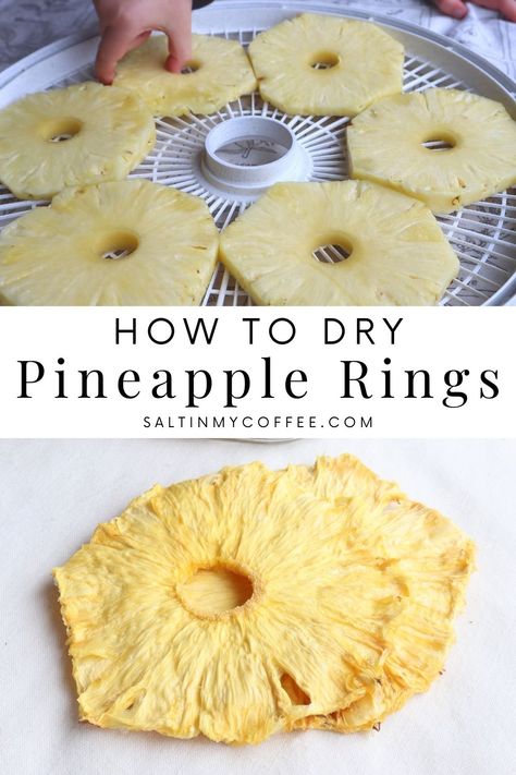 Dehydrate Pineapple In Dehydrator, Dyhrated Pineapple, How To Dehydrate Pineapple, Pineapple Dehydrator Recipes, Dried Pineapple Recipe, Dehydrated Pineapple In Dehydrator, Dehydrate Jalapenos In Dehydrator, Dehydrator Herbs, Dehydrating Pineapple