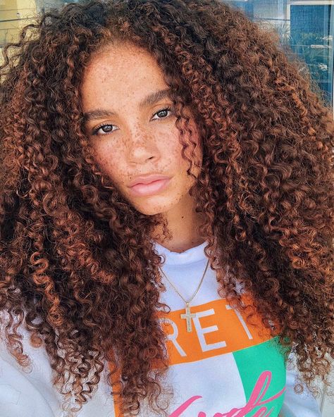 From subtle blonde highlights to rich shades of copper, there's something for everyone. Natural Hair Highlights, 3c Curly Hair, Subtle Blonde Highlights, Dyed Curly Hair, Highlights Curly Hair, Copper Highlights, Balayage Hair Dark, Dirty Blonde Hair, Beautiful Natural Hair