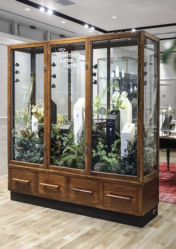 Plant Cabinet Display, Plant Cabinet, Plant Decoration Ideas, Cabinet Display, 카페 인테리어 디자인, Creative Company, Vivarium, Green Rooms, House Inspo