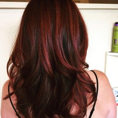 Love this color mix. Dark hair with red highlights Dark Hair Red Highlights, Dark Red Highlights, Black Hair With Brown Highlights, Red Highlights In Brown Hair, Dark Red Hair Color, Reddish Brown Hair, Chocolate Brown Hair, Red Brown Hair, Black Hair With Highlights