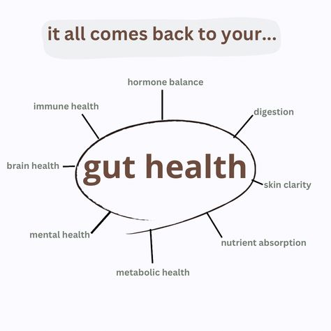 Powerful Mind, Visuell Identitet, Gut Health Diet, Gut Health Recipes, Probiotic Foods, Herbs For Health, Hormone Health, Health Knowledge, Immune Health