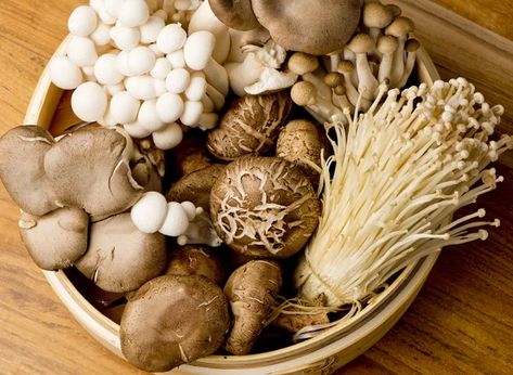 6 Incredibly Healthy Side Effects of Eating Mushrooms | Eat This Not That Mushroom Types, Marsala Sauce, Mushroom Varieties, Edible Mushrooms, Meat Substitutes, Good Foods To Eat, Fall Dinner, Wild Mushrooms, Vitamin B12