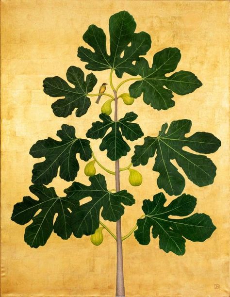 Fig bird in the fig tree  -   Jethro Buck , 2022. British, b. 1986  - Oil and 23 carat gold leaf on canvas,  60 x 46 in.   ... Telescope Drawing, John Lavery, Gold Leaf On Canvas, The Fig Tree, Fig Leaf, Tree Mural, Tree Tattoo Designs, Fig Leaves, Tree Illustration