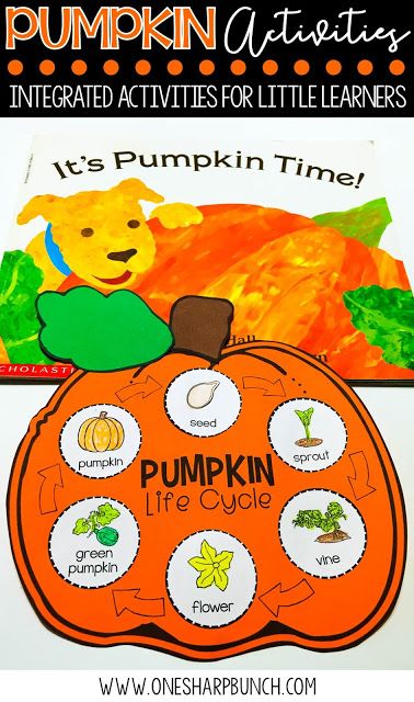 FREE life cycle of a pumpkin activities, including pocket chart sentences and sequencing printable.  Perfect for your pumpkin investigations!  Plus, we love the adorable pumpkin crafts! Kindergarten Pumpkin, Science Halloween, Life Cycle Of A Pumpkin, Pumpkin Investigation, Pumpkin Lessons, Life Cycle Activities, Veselý Halloween, Pumpkins Preschool, Pumpkins Kindergarten