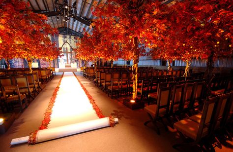 FROST DC Wedding Aisles, Preston Bailey, Fall Wedding Ceremony, Wedding Ceremony Ideas, Wedding Aisle Decorations, Aisle Runner, Fall Wedding Decorations, Aisle Decor, Wedding Aisle