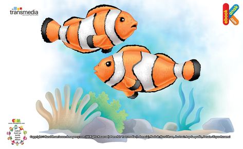 Ikan Badut Bisa Berganti Jenis Kelamin Ikan Nemo, Finding Nemo, Disney Characters, Disney, Animals, Fictional Characters, Art