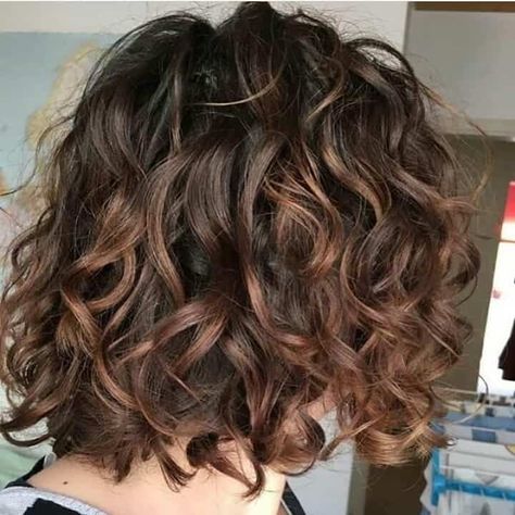 Short Curly Hair Styles, Natural Curly Hair Cuts, Colored Curly Hair, Short Curly Haircuts, Medium Curly Hair Styles, Haircuts For Curly Hair, Curly Hair Inspiration, Brown Highlights, Permed Hairstyles