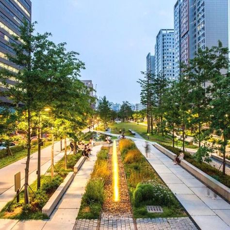 Forest Walkway, Streetscape Design, Urban Design Concept, Linear Park, Pedestrian Walkway, Urban Landscape Design, City Icon, Park Landscape, Landscape Architecture Design