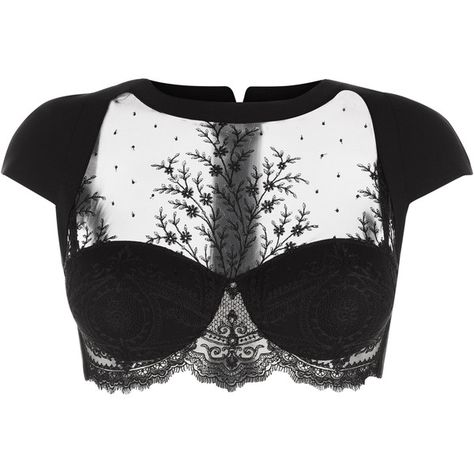 La Perla Neoprene Desire Long-Line Bra ($1,458) ❤ liked on Polyvore featuring intimates, bras, tops, lingerie, underwear, crop top, black, shiny lingerie, shiny bra and underwire bra Zip Bra, Adjustable Bra, Designer Lingerie, Looks Chic, Womens Bras, Luxury Lingerie, Dream Clothes, Underwire Bra, Mode Outfits