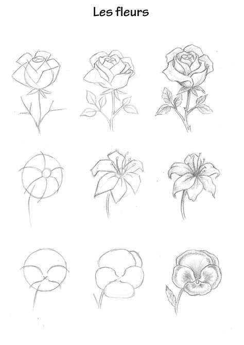 #tattoo #tattoos #inked #tattooart #tattooed #tattooideas #tattoodesign #tattooinspiration #tattoosleeve #tattooflash #inkedgirls #tattooedwomen  #InkLaughs  #TattooFails How Draw Flowers, How To Sketch Flowers, How To Draw Rose, Easy Flower Drawings Step By Step, Types Of Flowers Drawing, Basic Flower Drawing, Flower Tutorial Drawing, Flowers Drawing Reference, How To Draw A Flower