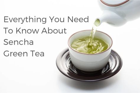 Japanese Green Tea and Health Blog - How to Enjoy Green Tea & Matcha Tagged "Green Tea Basics" Sencha Tea Benefits, Sencha Green Tea Benefits, Matcha Green Tea Benefits, Types Of Green, Sencha Tea, Tea Club, Tea History, Chinese Tea Ceremony, Green Tea Benefits