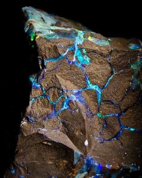 Stunning Opal veins in stone from Australia | #Geology #GeologyPage #Opal #Mineral  Geology Page www.geologypage.com Caillou Roche, 달력 디자인, Geology Rocks, Pretty Rocks, Cool Rocks, Beautiful Rocks, Rock Collection, Mineral Stone, Minerals And Gemstones