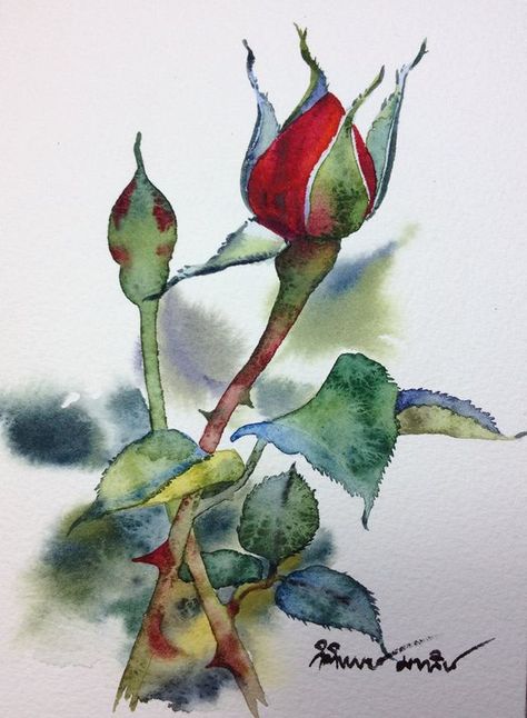 Rose Bud Watercolor, Rose Bud Painting, Rose Bud Drawing, Red Rose Watercolor, Watercolour Roses, Watercolour Inspiration, Watercolor Paintings Easy, 수채화 그림, Rose Bud