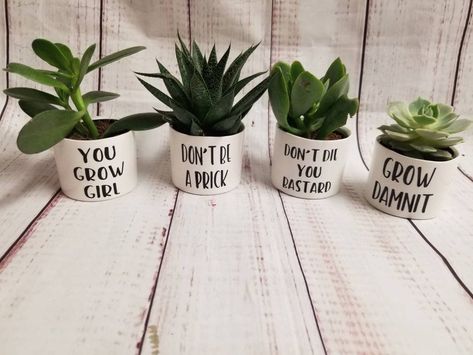 Pots Plants, Plant Puns, Plant Pot Design, Plant Pot Diy, Painted Pots Diy, Painted Flower Pots, Ceramic Plant Pots, Pot Designs, Ceramic Pots