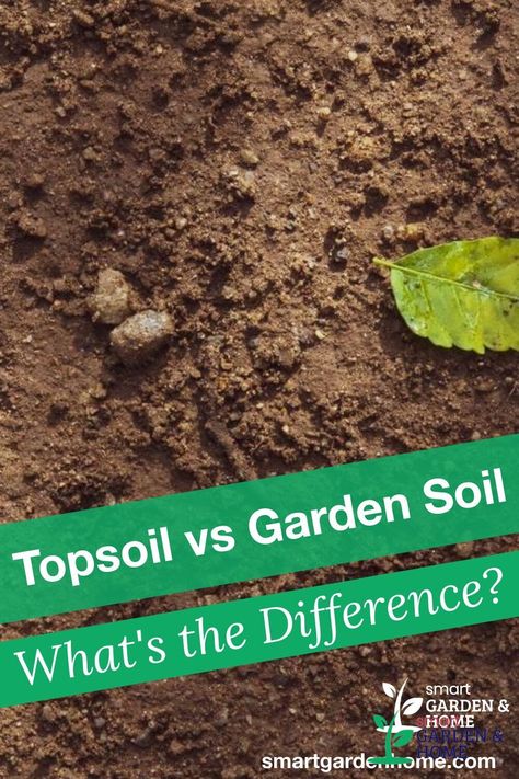 Different soil is good for different types of plants and contains different materials and nutrients. I tackle the differences of topsoil vs garden soil, and how each type of soil is used. https://smartgardenhome.com/topsoil-vs-garden-soil/?utm_source=pinterest&utm_medium=smartgardenhome&utm_campaign=publer #smartgardenhome #gardening #houseplants Garden Soil Mix, Different Types Of Plants, Different Materials, Smart Garden, Soil Testing, Starting A Garden, Soil Layers, Greenhouse Gardening, Soil Improvement