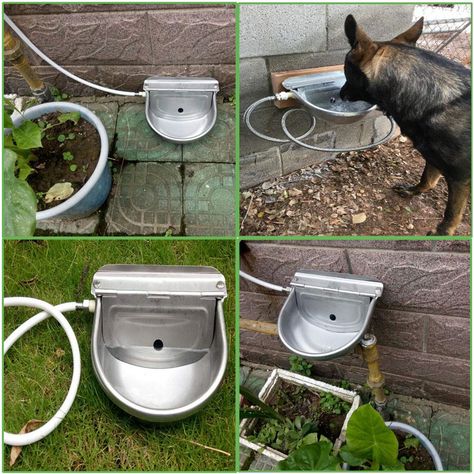 Outside Dog Bowl Ideas, Diy Pet Water Filter, Automatic Dog Water Bowl, Automatic Water Bowl Dogs, Dogs Water Bowl Ideas, Built In Pet Water Fountain, Outside Water Bowls For Dogs, Outdoor Dog Water Bowl, Diy Automatic Dog Waterer