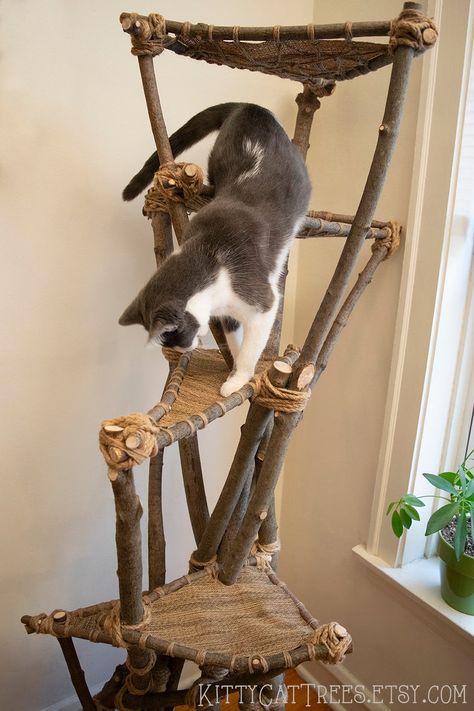 I don't know how we would do this, but it looks super cool Natural Cat Tree, Unique Cat Trees, Chat Diy, Kat Diy, Cat Climbing Tree, Cat Tree House, Diy Cat Tree, Cat Trees, Cat Enclosure