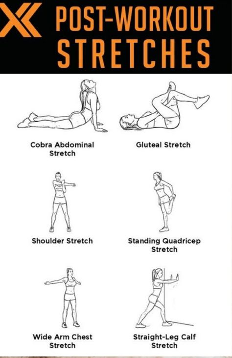 Fitness, exercise, stretch, routine Post Stretches Workout, Full Body Post Workout Stretch, Pre And Post Workout Stretches, After Workout Stretches, Pre Workout Stretches, Workout Stretches, Stretches Before Workout, Post Workout Stretches, Summer Body Workouts