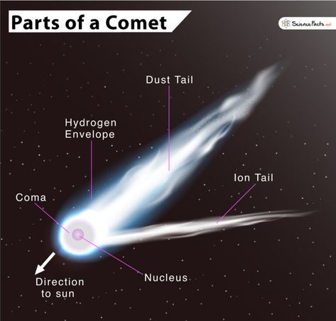 Astronomy Terms, Comets And Asteroids, Space Video, Halley's Comet, Space Character, Astrology Books, Astronomy Art, Science Projects For Kids, Diagram Design