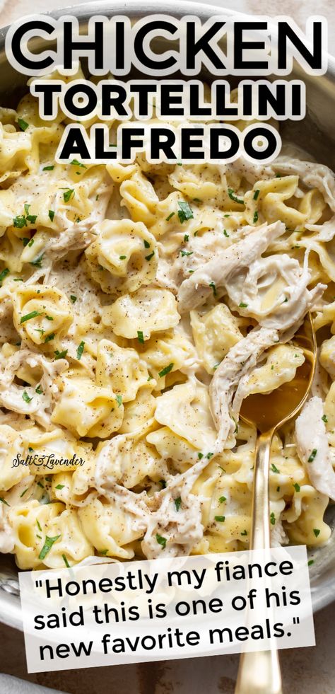 Chicken Tortellini Alfredo, Tortellini Alfredo, Chicken Tortellini, Chicken Alfredo Recipes, Tortellini Recipes, Easy Chicken Dinner Recipes, Pasta Dinners, Pasta Dinner Recipes, Sunday Roast