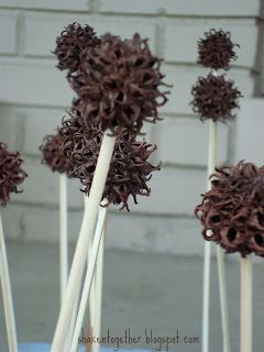 shaken together: {create this} Sweet Gum Ball Flowers Sweet Gum Tree Crafts, Sweet Gum Tree, Crepe Myrtles, Ball Flowers, Sweet Gum, Gum Tree, Farm Stand, Cub Scouts, Tree Crafts