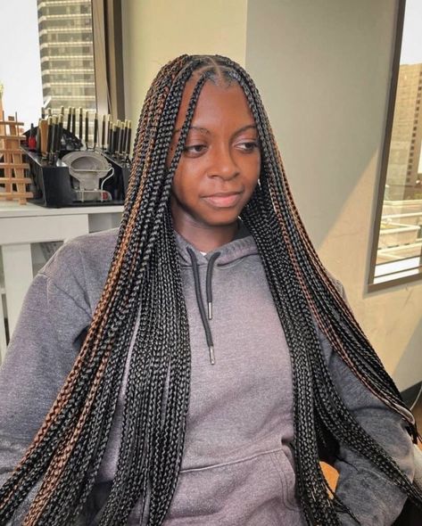 Black And Brown Hair Braids, Knotless Box Braids With Color, Knotless Braids With Color, Mommy Hair, Brown Box Braids, Knotless Braid, Twisted Hair, Braids Ideas, Summer Braids