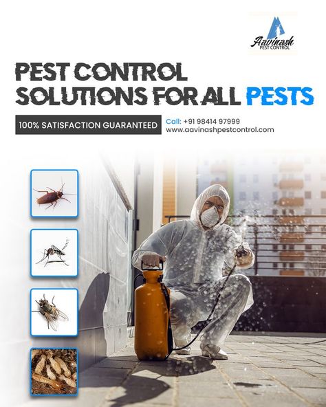 Pest control solutions for all pests. 100% satisfaction guaranteed at low cost. No.1 pest control for industrial, commercial & residential by expert team at your doorstep. Book Now at: +91 9841497999 Visit Our Website: http://www.aavinashpestcontrol.com/ #PestControlSolution #CommercialPestControlServices #PestControl #PestControlChennai #PestControlService #HerbalPestControlChennai #TermiteControlServicesChennai #CockroachControlServicesChennai #MosquitoControlChennai #AavinashPestControl Pest Control Services Poster, Pest Control Ads, Agriculture Photography, Cosmetic Labels Design, Termite Damage, Mosquito Control, Digital Marketing Design, Flyer And Poster Design, Pest Control Services