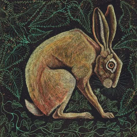 Hare Sketch, Linda Kemp, Hare Drawing, Hare Pictures, Hare Animal, Hare Illustration, Magick Art, Spring Bunnies, Pagan Art