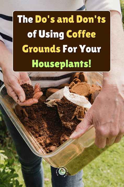 Discover the essential Do's and Don'ts of using coffee grounds for your houseplants. Learn how to enhance your garden with plants that like coffee grounds and create homemade fertilizer for plants. 
Explore effective ways to use coffee grounds in the garden, ensuring your 
houseplants thrive. Uncover the best practices for used coffee grounds, and 
find out which plants benefit the most from this natural resource. Elevate 
your gardening game with these expert tips on coffee for plants! Use For Coffee Grounds, Coffee Grounds For House Plants, Coffee For Plants Gardening Tips, How To Use Coffee Grounds In Plants, Uses For Used Coffee Grounds, How To Use Coffee Grounds In The Garden, Coffee For Plants Houseplant, Plants That Like Coffee Grounds, Plants That Love Coffee Grounds