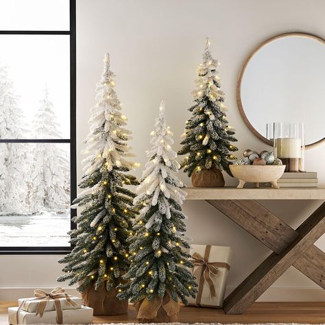 Bring the Forest HomeExperience the joy of a winter forest in the comfort of your home with the Member's Mark™ Set of 3 Pre-Lit Frosted Topiaries. This stunning set, which includes a 5-foot, 4-foot, and 3-foot tree, is designed to make a dramatic statement in your entryway or any part of your home. With their snowy, down swept design and slim profile, these trees fit perfectly together, creating a captivating visual appeal.Simple Yet ElegantEach tree in the set is tied with a simple burlap base, giving it an authentic tree lot feel. The set looks fantastic on its own, but you can also blend it seamlessly into your existing holiday décor. Whether you prefer a minimalist style or a more traditional holiday look, these trees will add a touch of elegance to your home.Warm and InvitingA total o Front Entry Christmas Tree, Mini Christmas Trees On Mantle, Cb2 Holiday Decor, Olive Tree Christmas Decoration, Home Office Christmas Tree, Christmas Decor On Porch, Navy Blue And Brown Christmas Tree, Christmas Trees On Tables, Multiple Trees Christmas