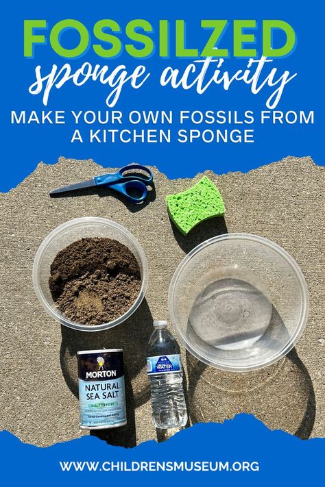 Make Your Own Fossils, Fossils Activities Middle School, Fossil Record Activities, Dinosaur Extinction Activities, Diy Dino Fossils, How To Make Fossils For Kids, Fossil Preschool Activities, Dinosaur Experiments For Kids, Paleontologist Activities For Kids