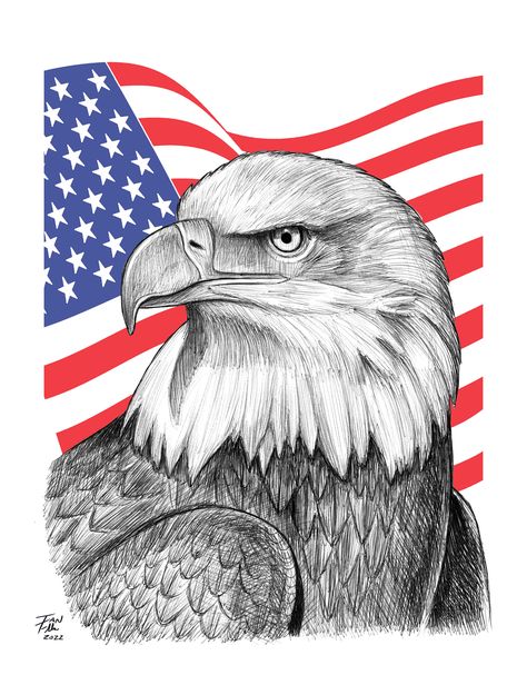 A pen and ink drawing of a bald eagle I created. Eagle Drawings Easy, American Eagle Drawing, Eagle Drawing Sketches, Bald Eagle Sketch, Patriotic Drawings, Patriotic Paintings, Bald Eagle Drawing, Eagle Drawing Easy, Practice Tattoos