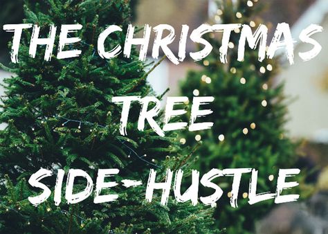 Christmas Tree Store, Christmas Tree Lots, Christmas Tree Sale, Farm Business, Christmas Farm, Christmas Tree Stand, Making Extra Cash, Farm Stand, Tree Farm