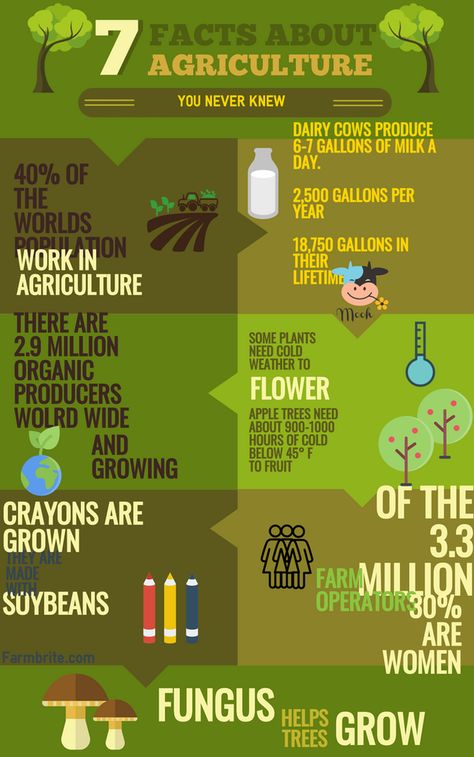 Agriculture Farming Ideas, Poster About Agriculture, Agriculture Education Activities, Farming Ideas Agriculture, Agriculture Education Lessons, Agriculture Lessons, Agriculture Poster, Agriculture Activities, Agriculture Education Classroom