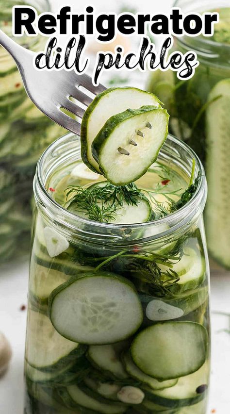 Easy to make Refrigerator Dill Pickles. Crispy and fresh pickles, these are so easy to make because there's no canning required! Canning Refrigerator Pickles, Home Made Dill Pickles, Refridge Pickles Dill, Refrigerated Pickles, Fresh Pickles, Crispy Dill Pickles, Easy Refrigerator Pickles, Pickles Homemade, Homemade Refrigerator Pickles