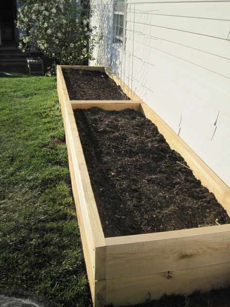 Tall Raised Garden Beds for the Yard with Dogs! Raised Beds Along House, Garden Bed Next To Fence, Raised Bed Next To House, Raised Garden Side Of House, Side Of House Raised Garden Beds, Vegetable Garden On Side Of House, Flower Bed Raised Planters, Front Of House Raised Flower Bed, Raised Garden Bed Along House