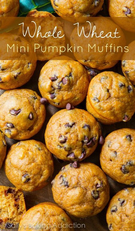 Mini Pumpkin Muffins, Healthy Muffin, Wheat Recipes, Pumpkin Chocolate Chip Muffins, Sally's Baking, Bakery Supplies, Cassava Flour, Pumpkin Chocolate Chip, Pumpkin Chocolate Chips